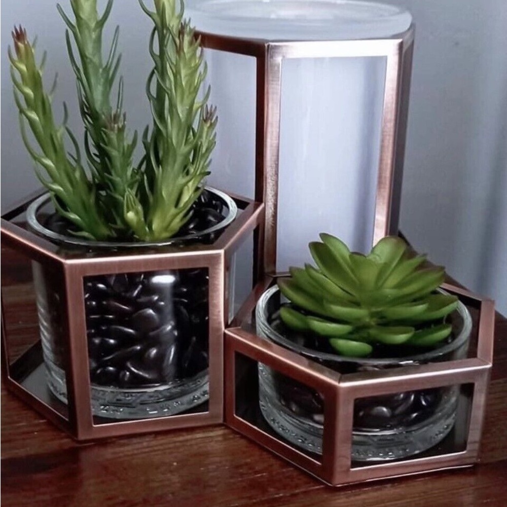 Wild Desert Warmer